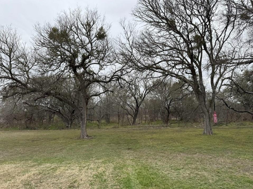 622 Longhollow Rd, Dale, TX 78616