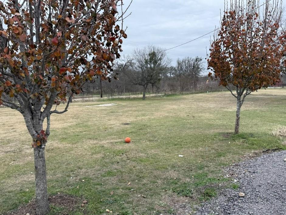 622 Longhollow Rd, Dale, TX 78616