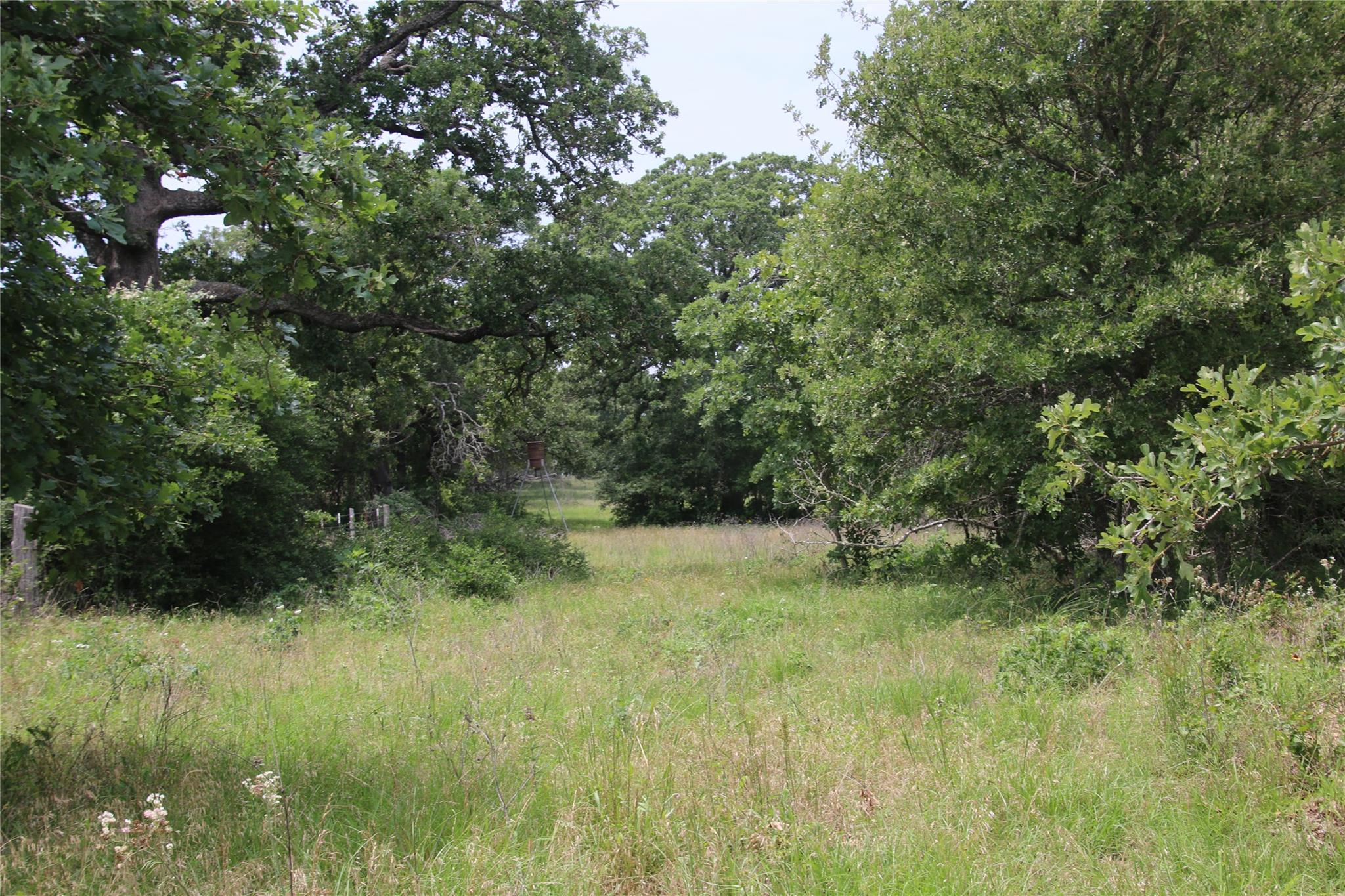 418 County Road 458A, Thorndale, TX 76577