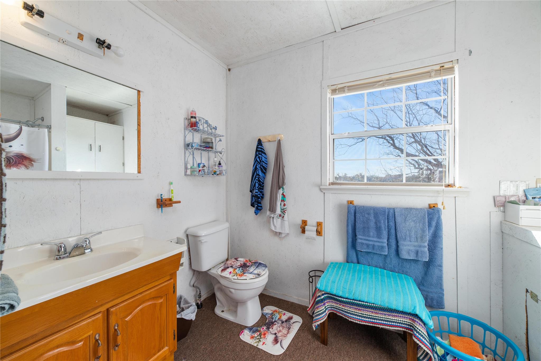 116 PR 110, Goldthwaite, TX 76844