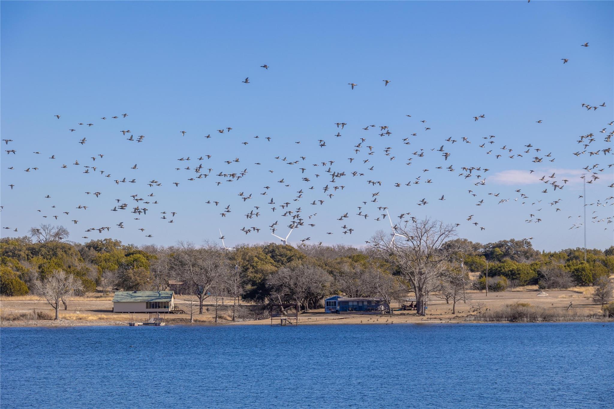 116 PR 110, Goldthwaite, TX 76844