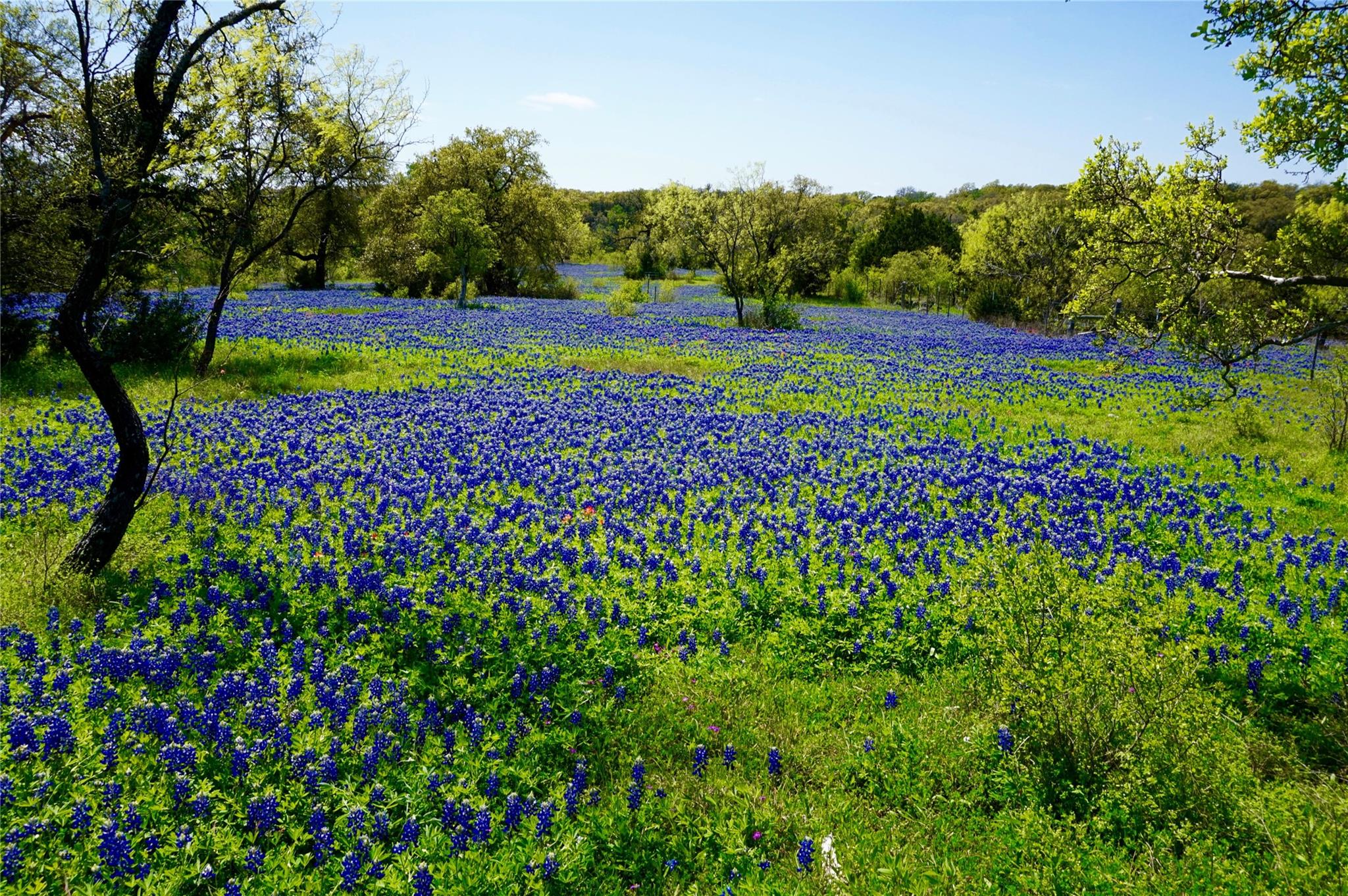 13131 E FM 1431 Highway, Marble Falls, TX 78654