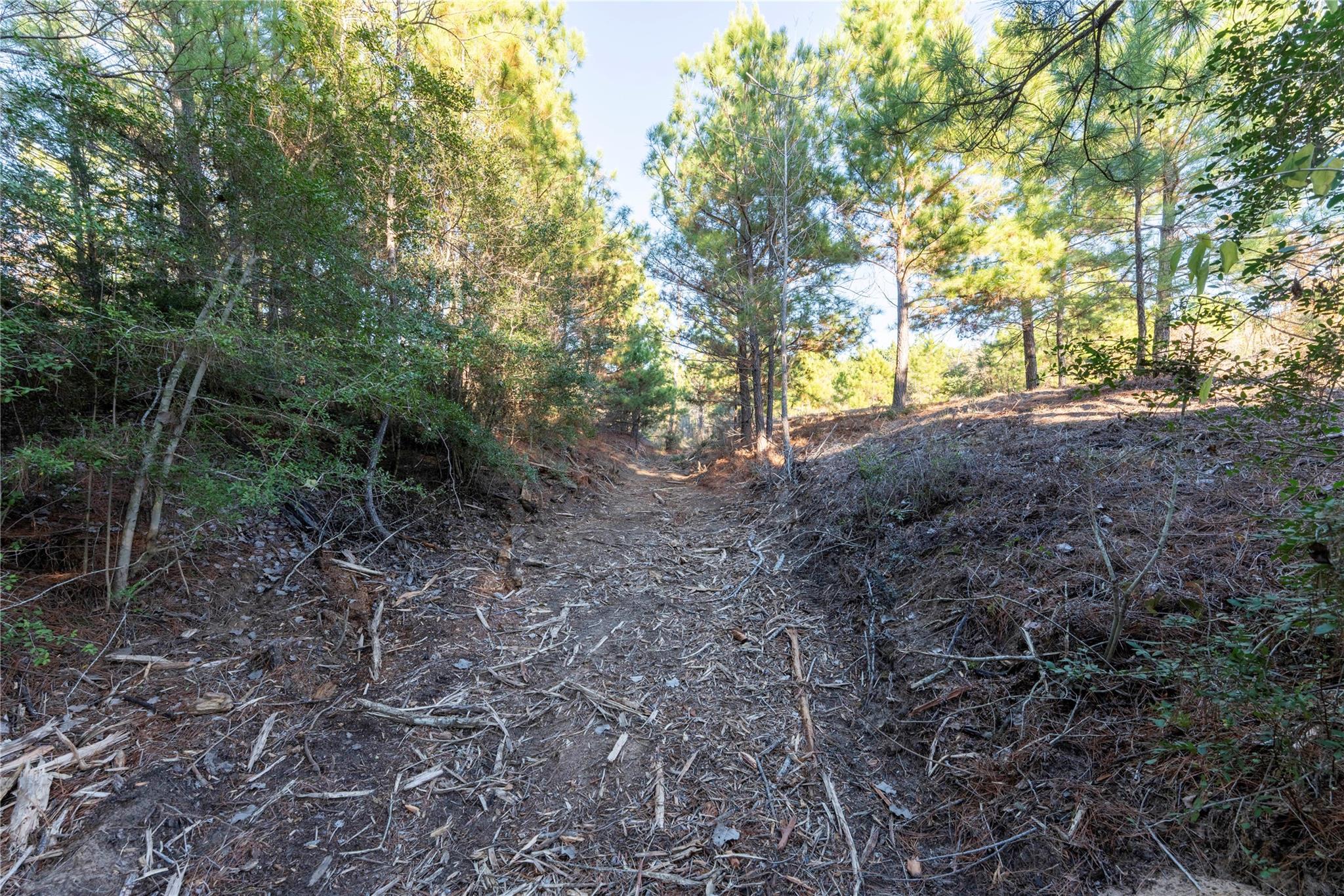 122 Hereford Ln, Bastrop, TX 78602