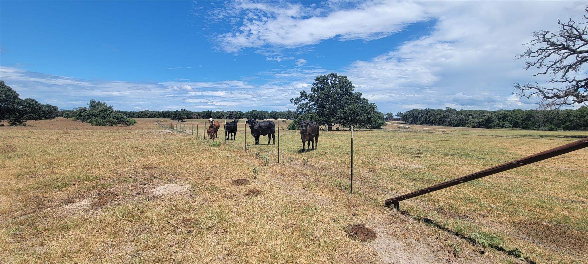 TBD N 000 Hwy 77, Rockdale, TX 76567