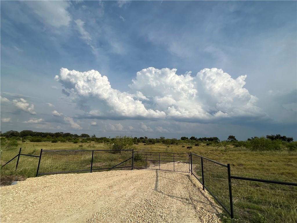 TBD County Road 421, Evant, TX 76525