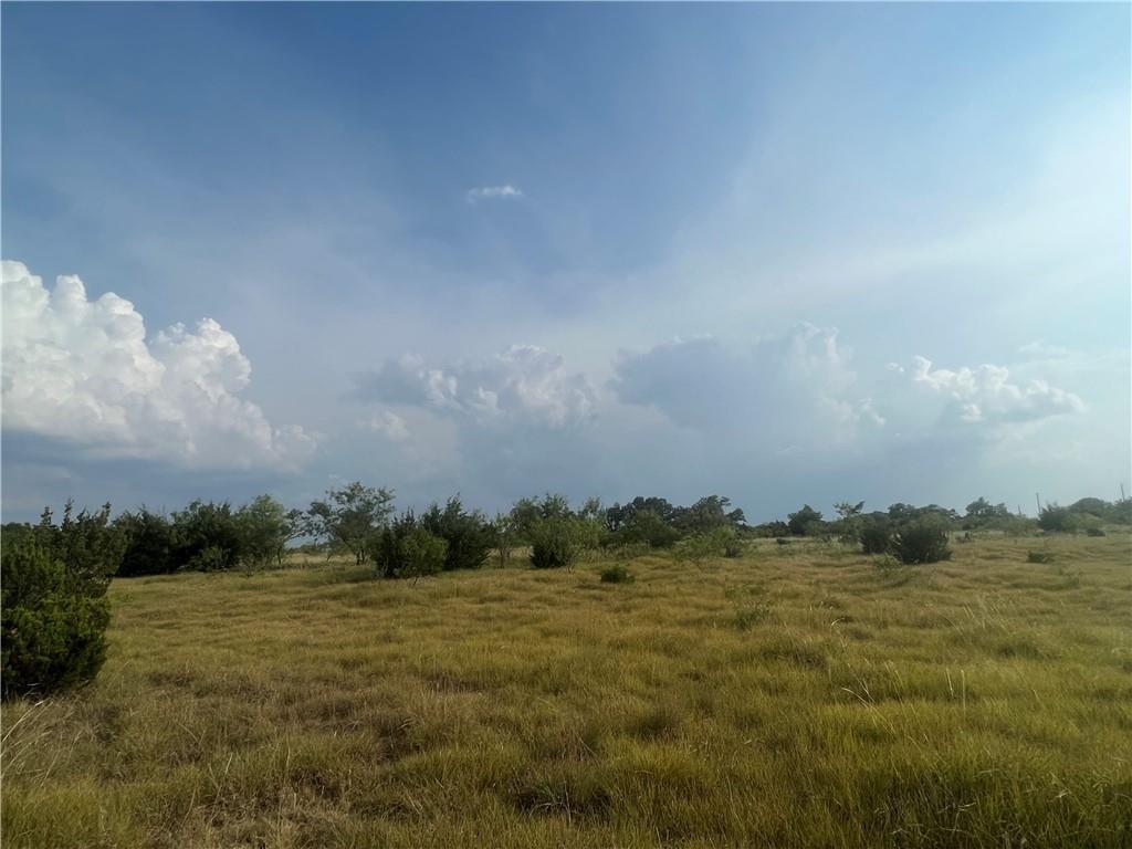 TBD County Road 421, Evant, TX 76525