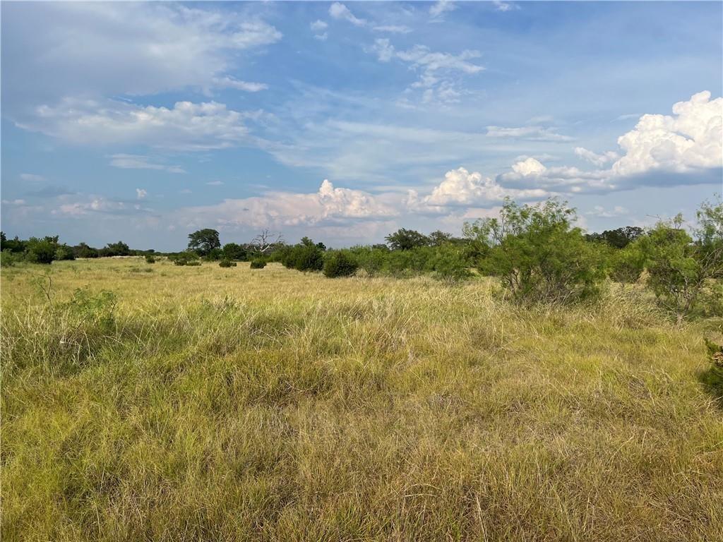 TBD County Road 421, Evant, TX 76525