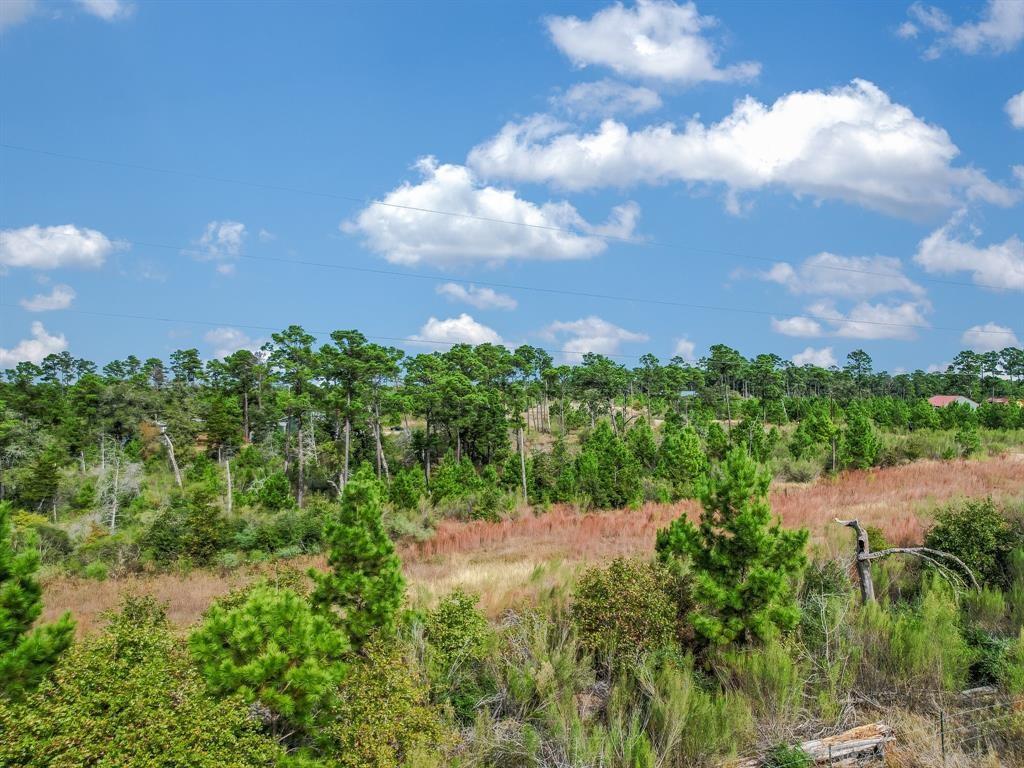 210 Old Antioch Rd, Smithville, TX 78957