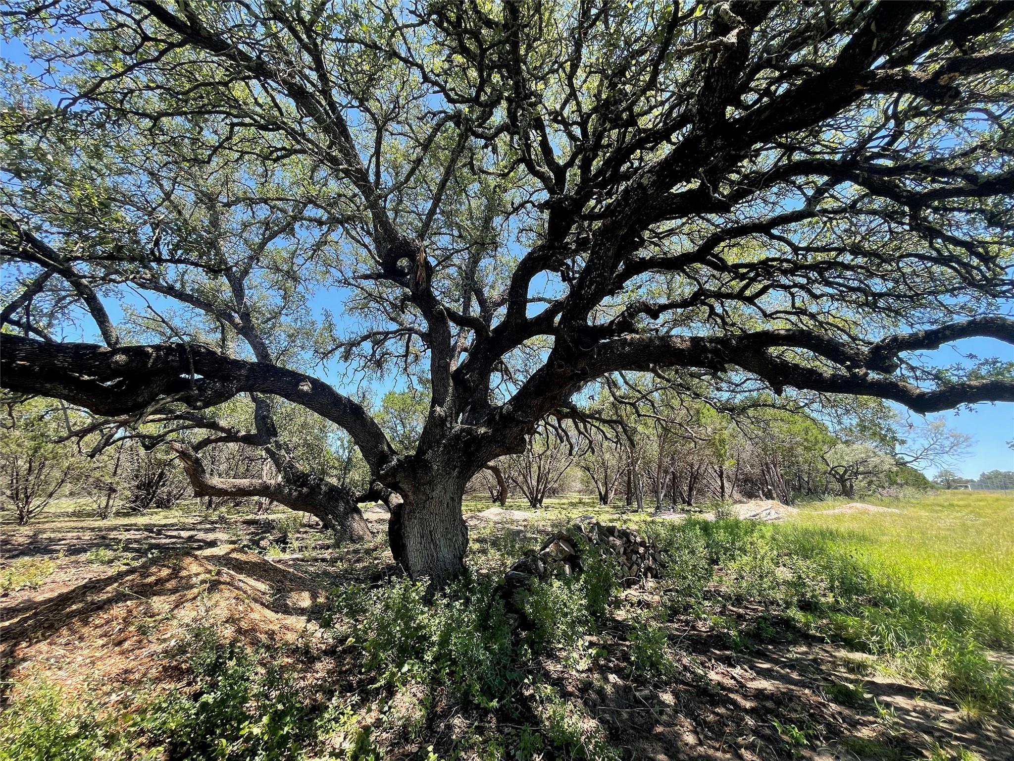 Lot 65 Estate View Circle, Lampasas, TX 76550