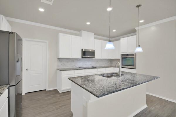 12505 Franklin D Roosevelt St, Manor, TX 78653