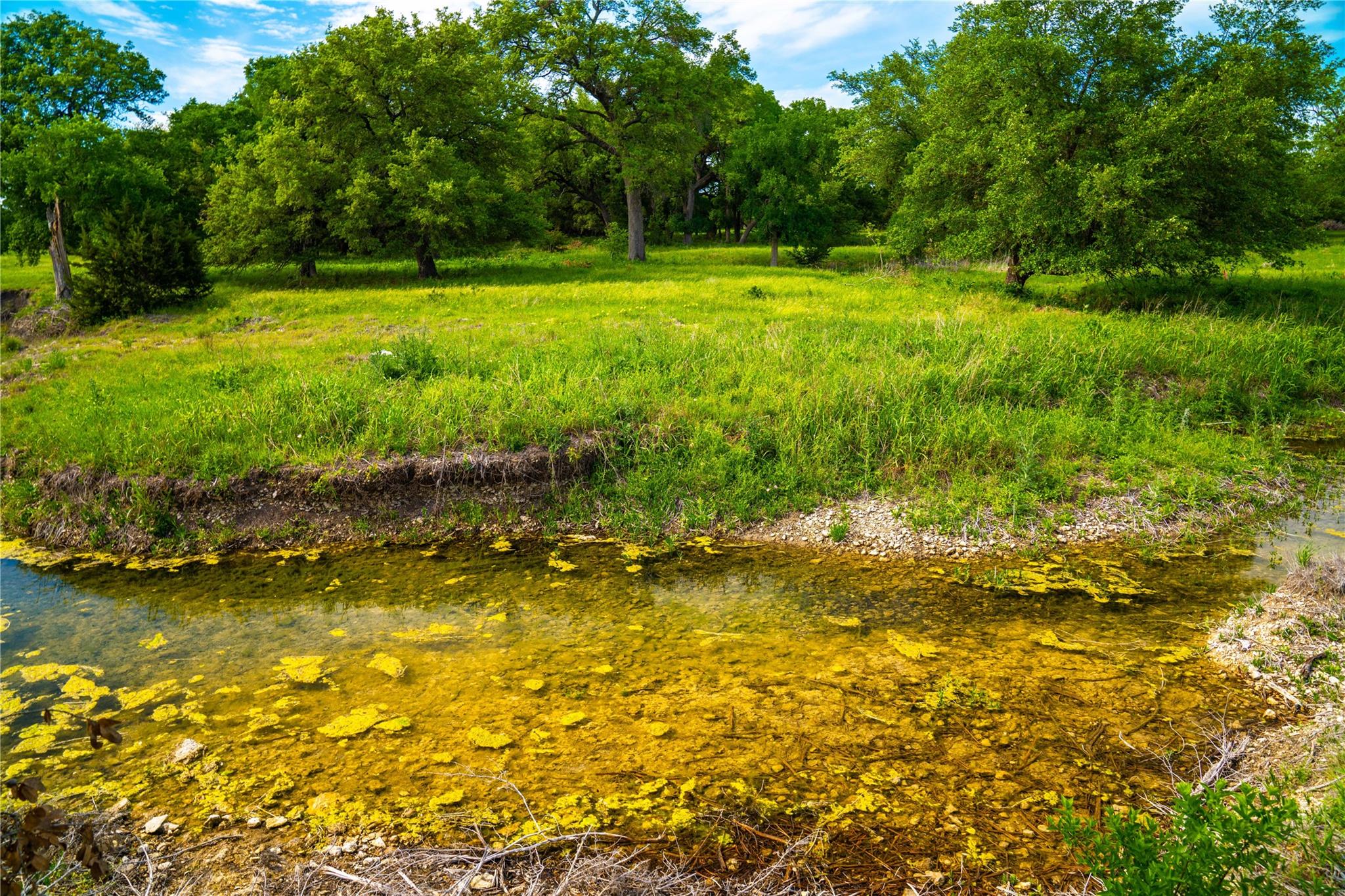 TBD Tracts 5 and 6 CR 251, Georgetown, TX 78633