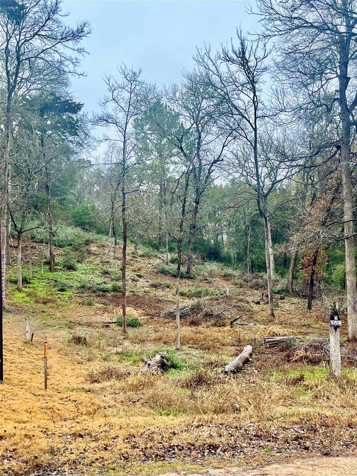 122 Helemano Dr, Bastrop, TX 78602