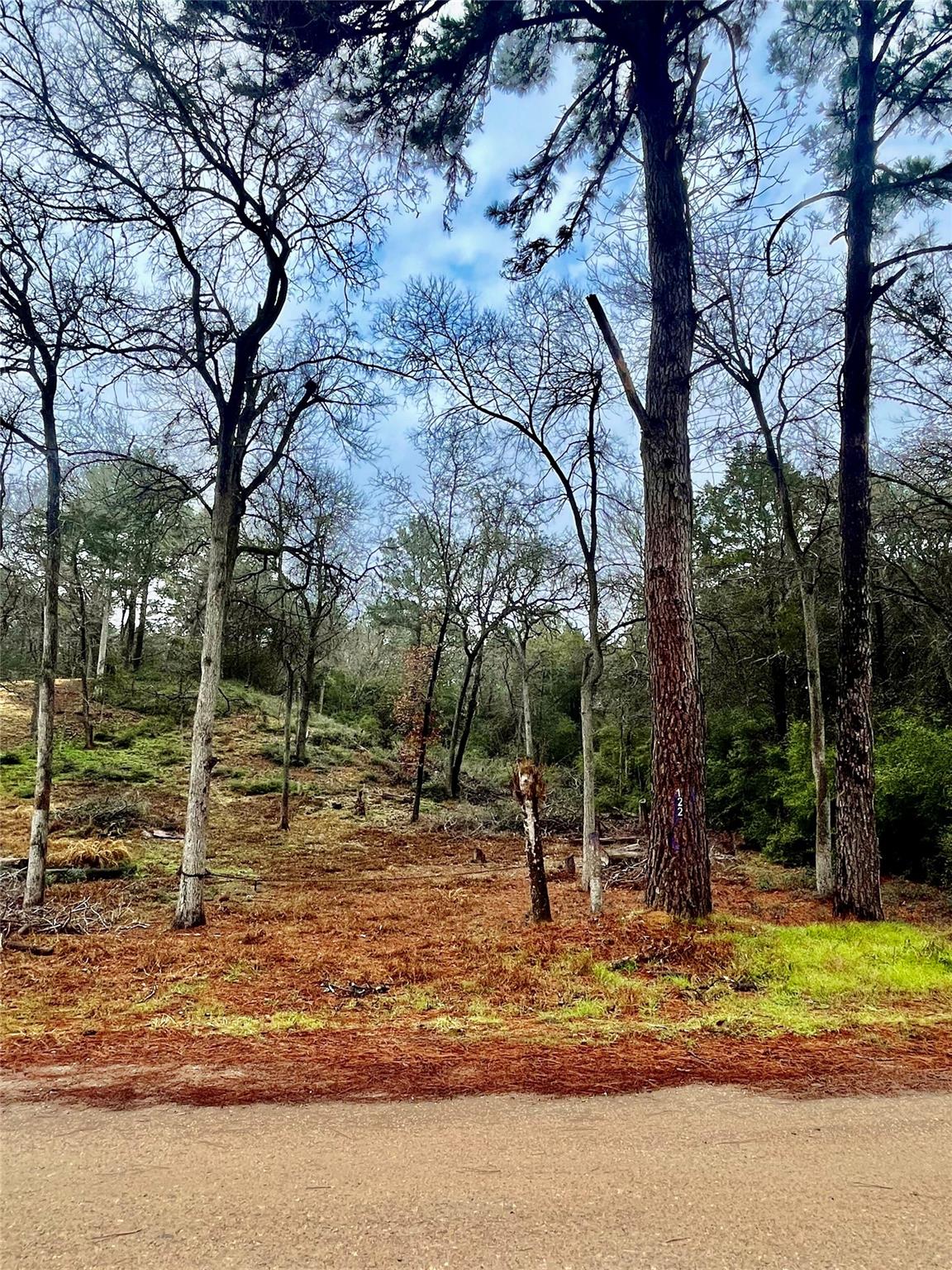 122 Helemano Dr, Bastrop, TX 78602