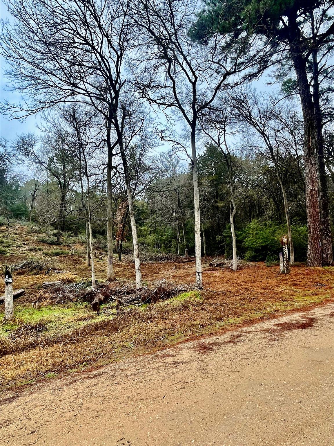 122 Helemano Dr, Bastrop, TX 78602