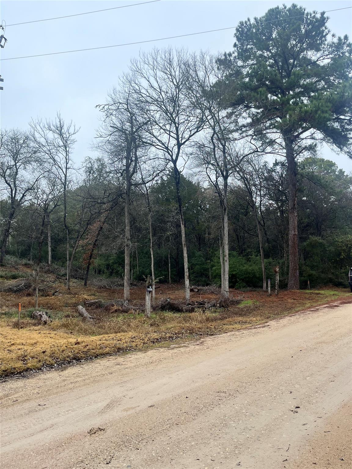 122 Helemano Dr, Bastrop, TX 78602