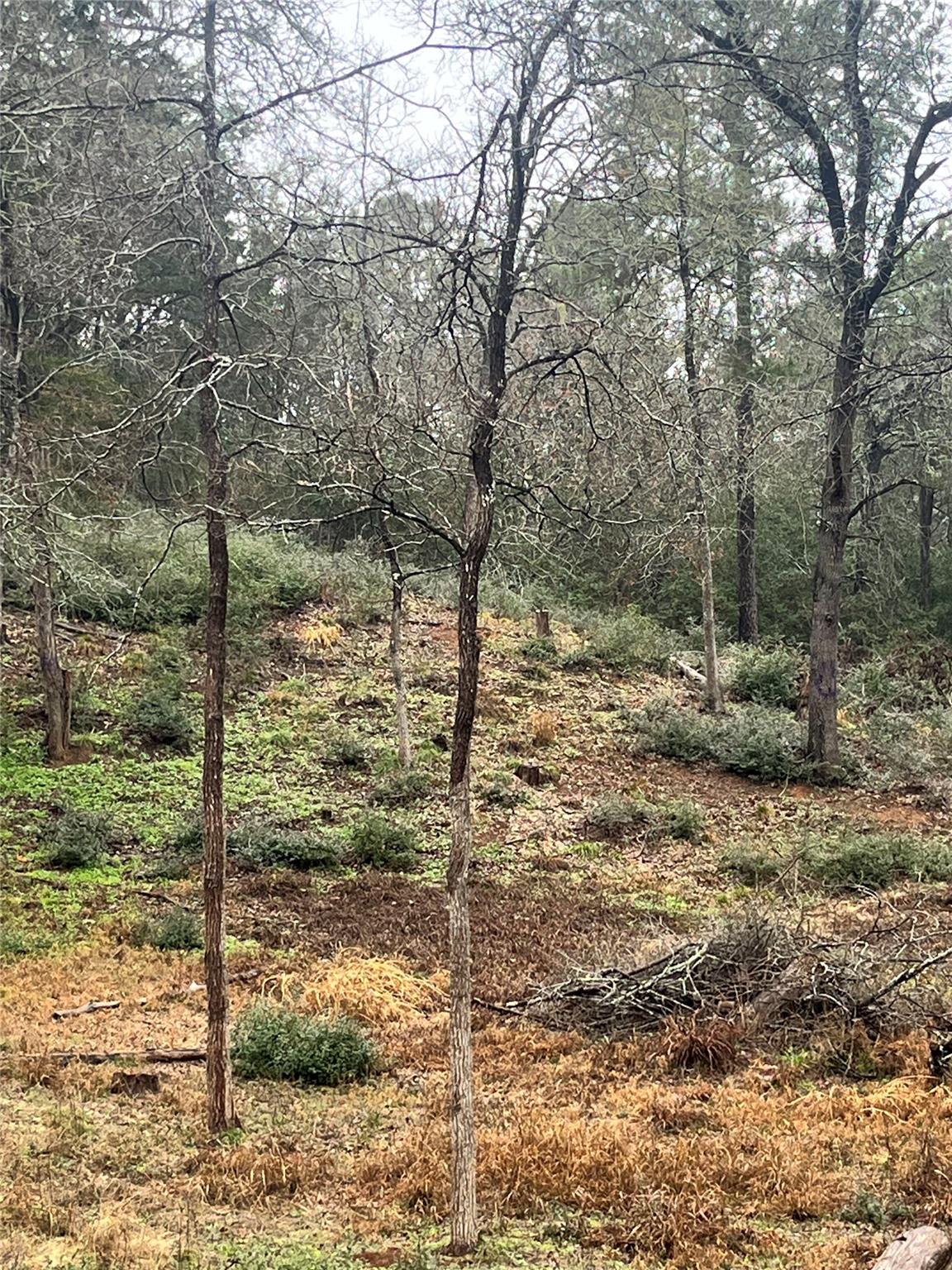 122 Helemano Dr, Bastrop, TX 78602