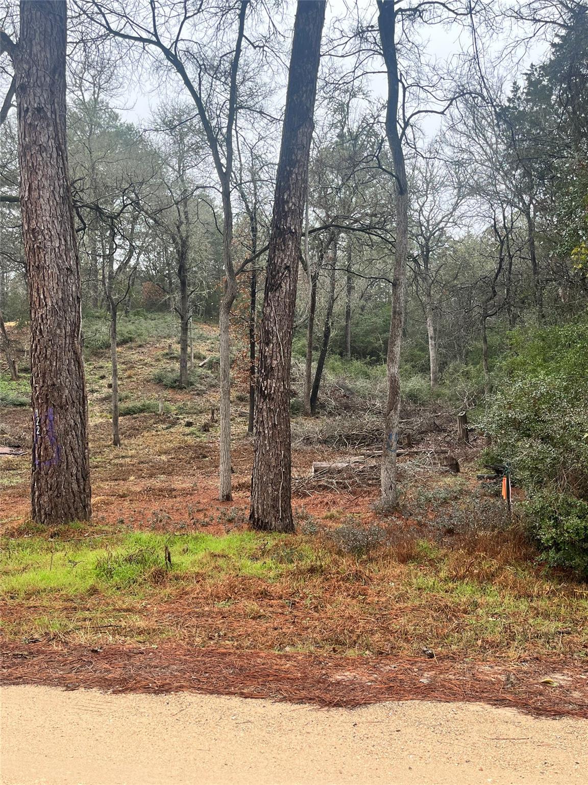 122 Helemano Dr, Bastrop, TX 78602