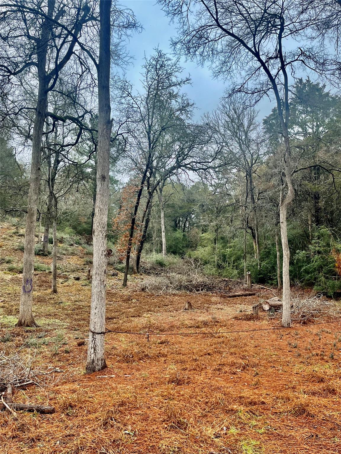 122 Helemano Dr, Bastrop, TX 78602