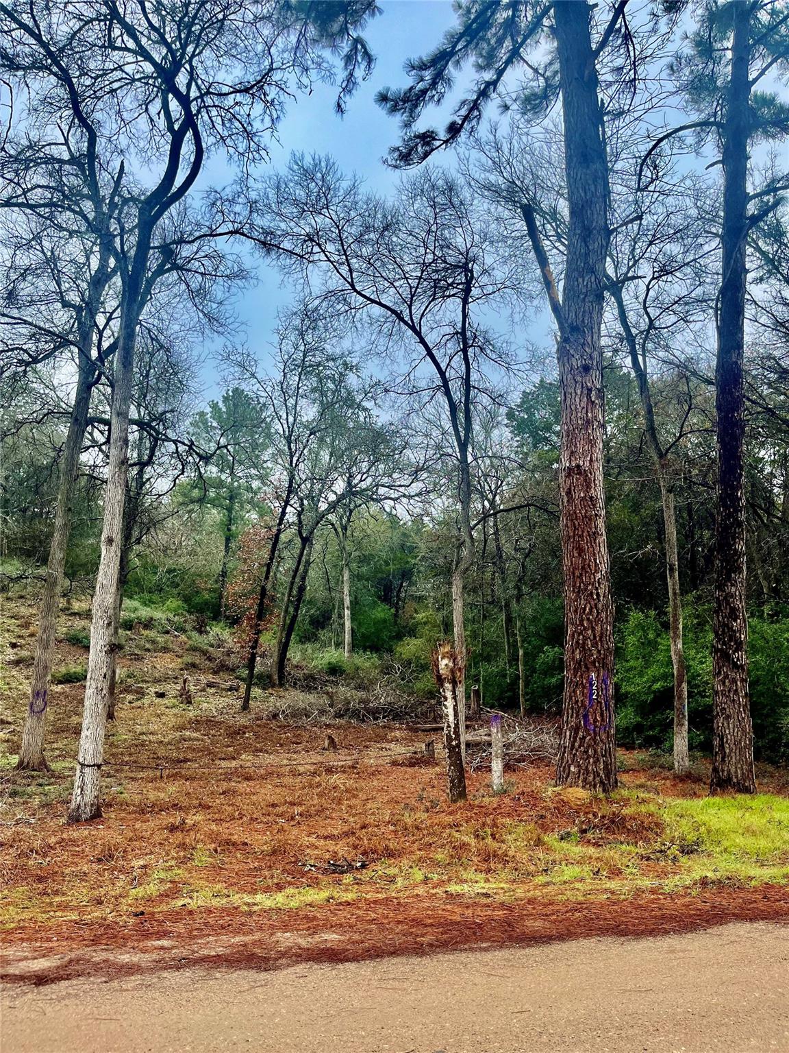 122 Helemano Dr, Bastrop, TX 78602