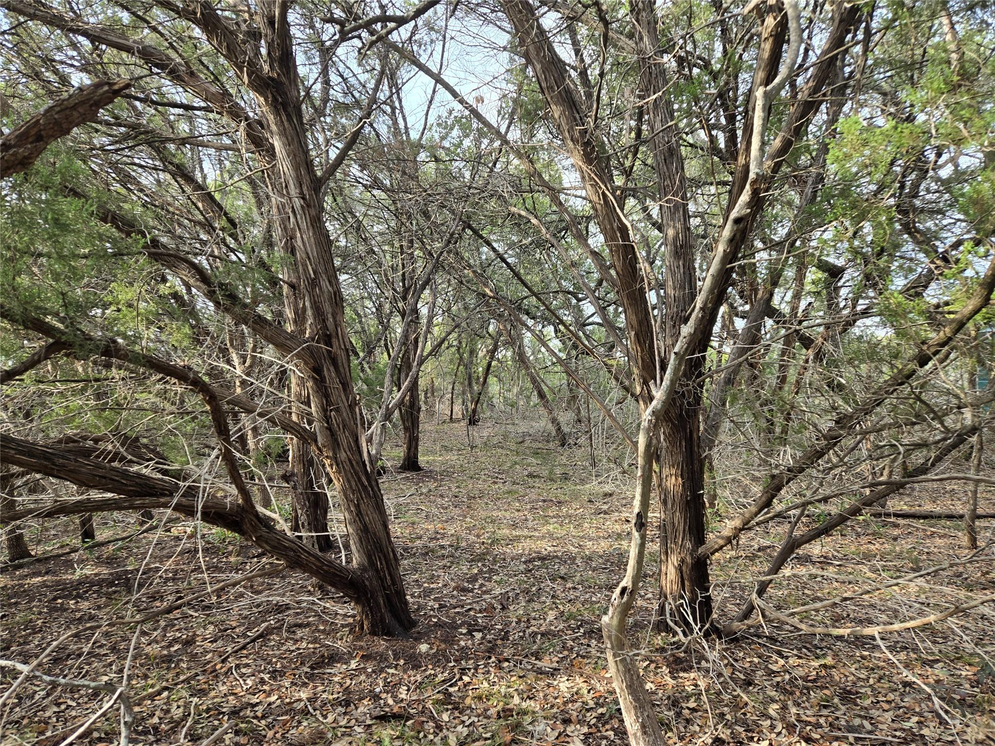 15101 Foy Dr, Austin, TX 78734