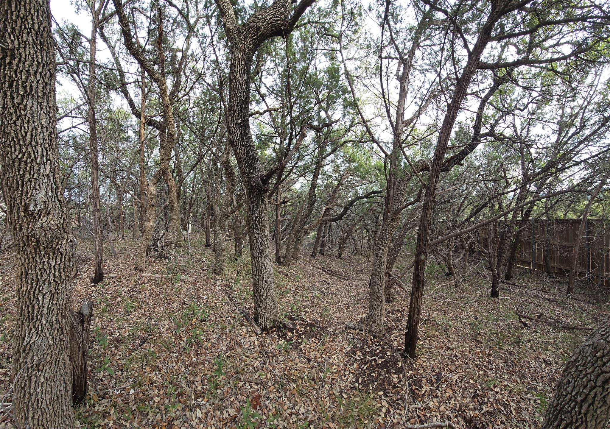 15101 Foy Dr, Austin, TX 78734