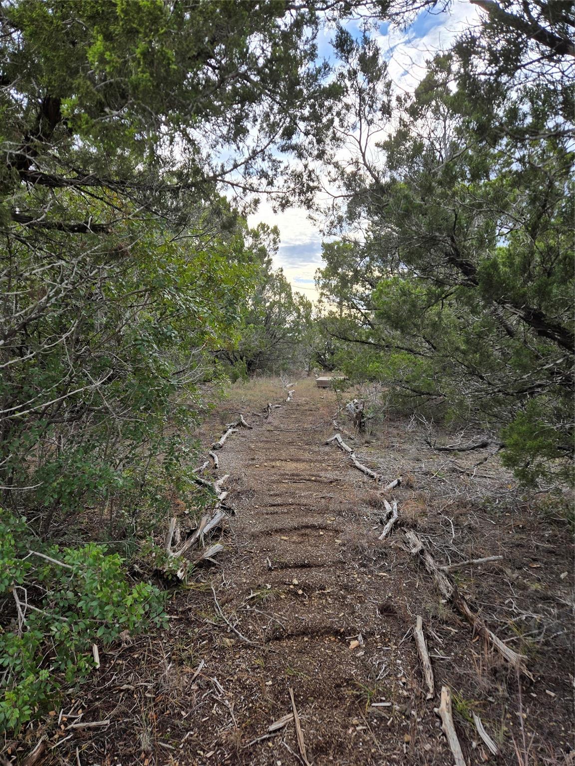 15101 Foy Dr, Austin, TX 78734