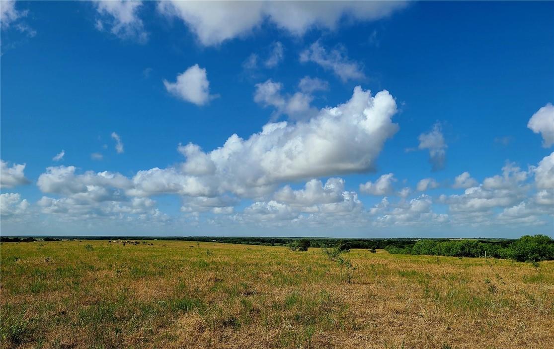 TBD 46 Acres West County Rd 446, Waelder, TX 78959