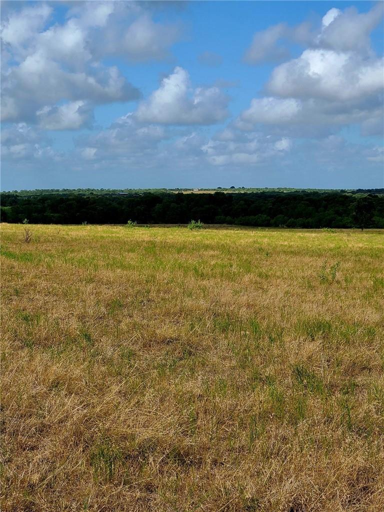 TBD 46 Acres West County Rd 446, Waelder, TX 78959