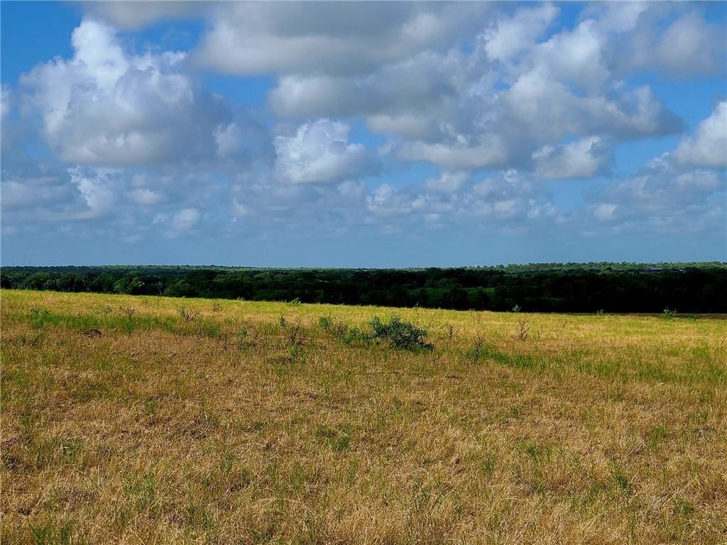 TBD 46 Acres West County Rd 446, Waelder, TX 78959