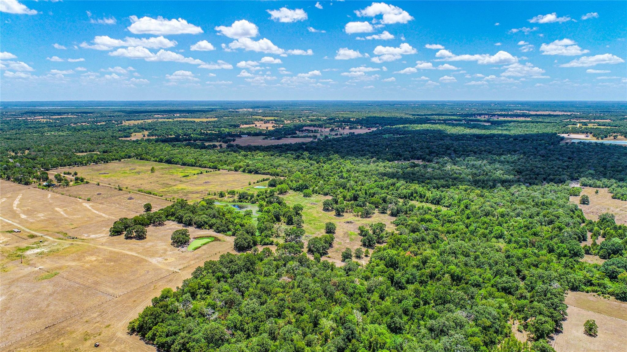 TBD County Road 132 (+/- 65 acres), Somerville, TX 77879