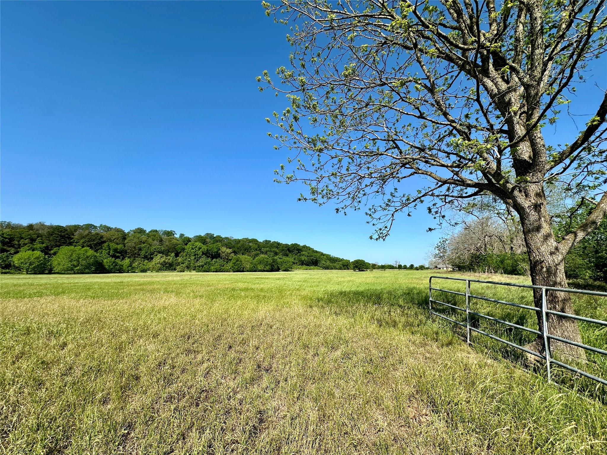 276 Fm 2571, Smithville, TX 78957