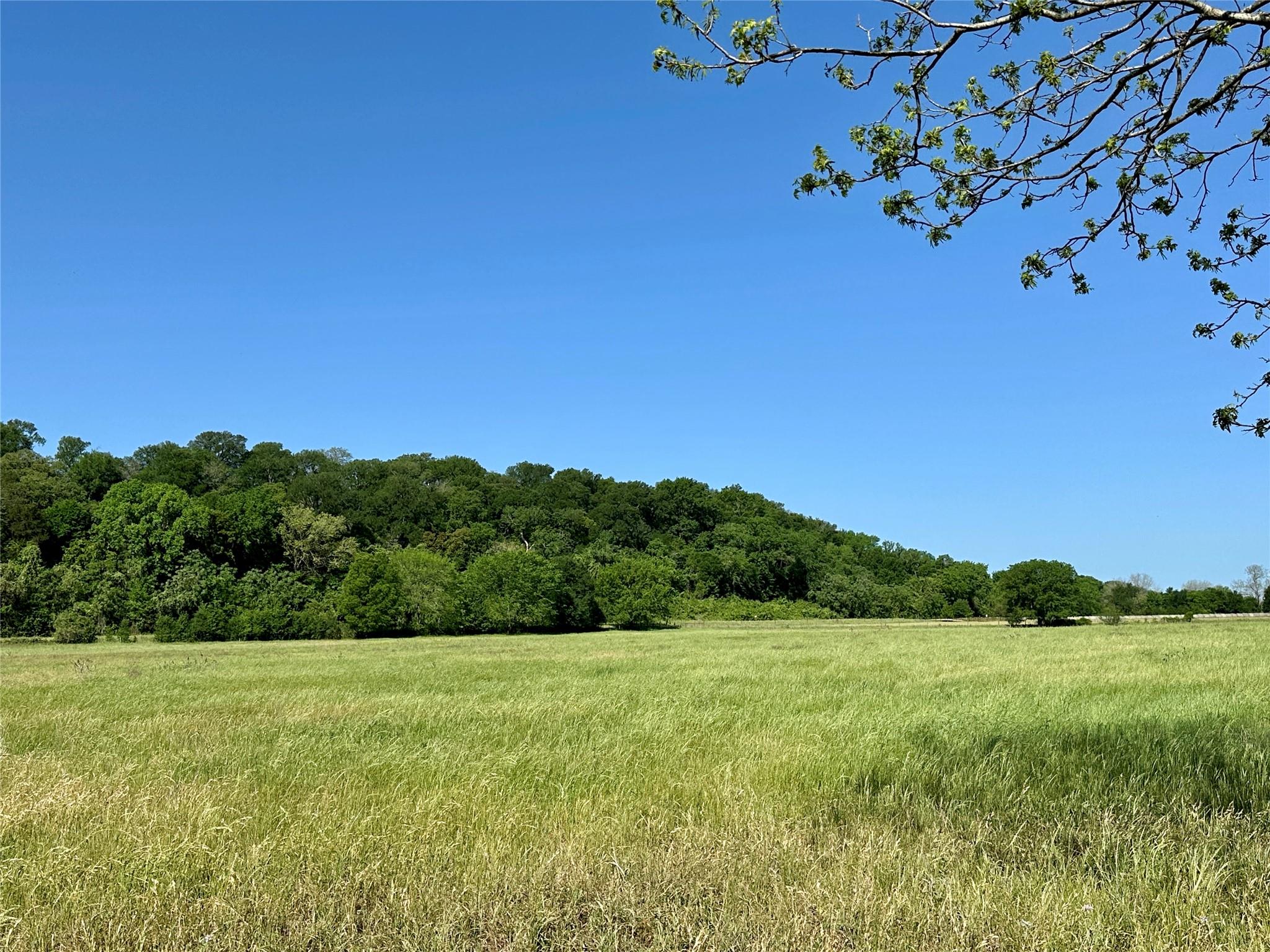 276 Fm 2571, Smithville, TX 78957