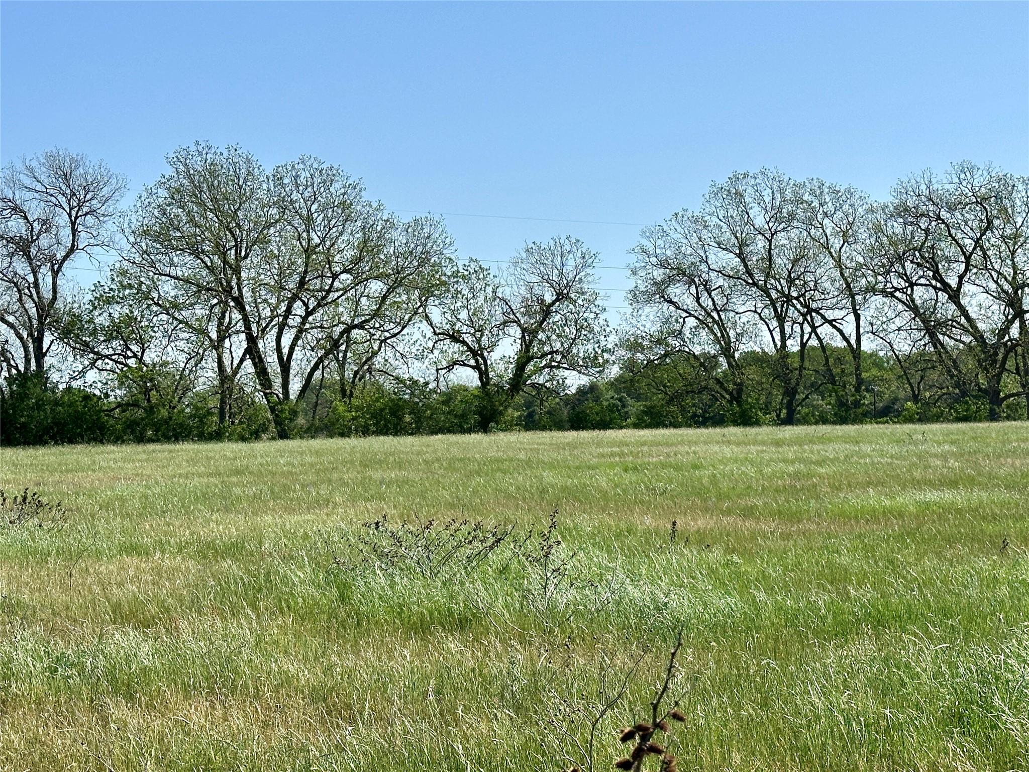 276 Fm 2571, Smithville, TX 78957
