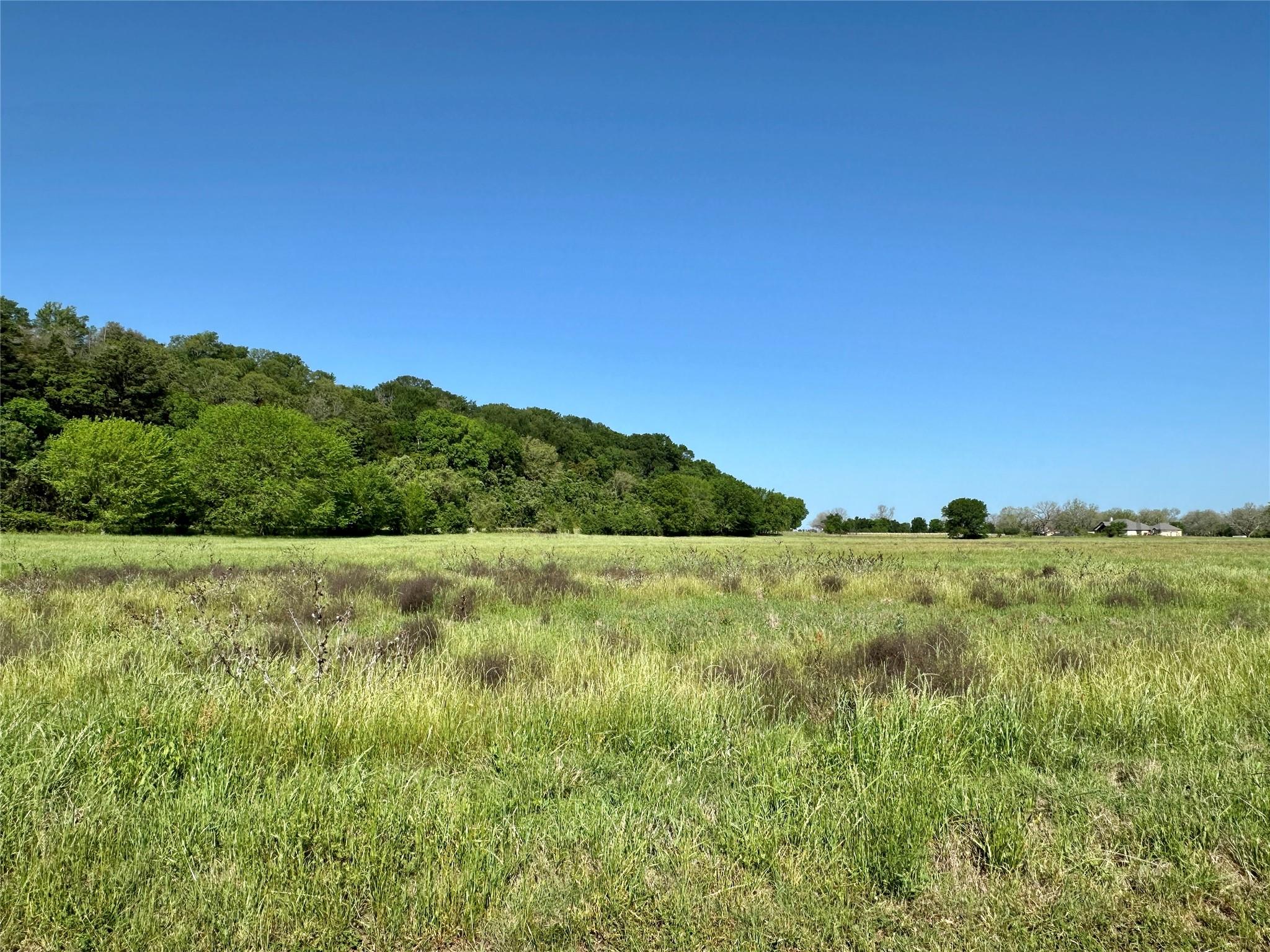 276 Fm 2571, Smithville, TX 78957