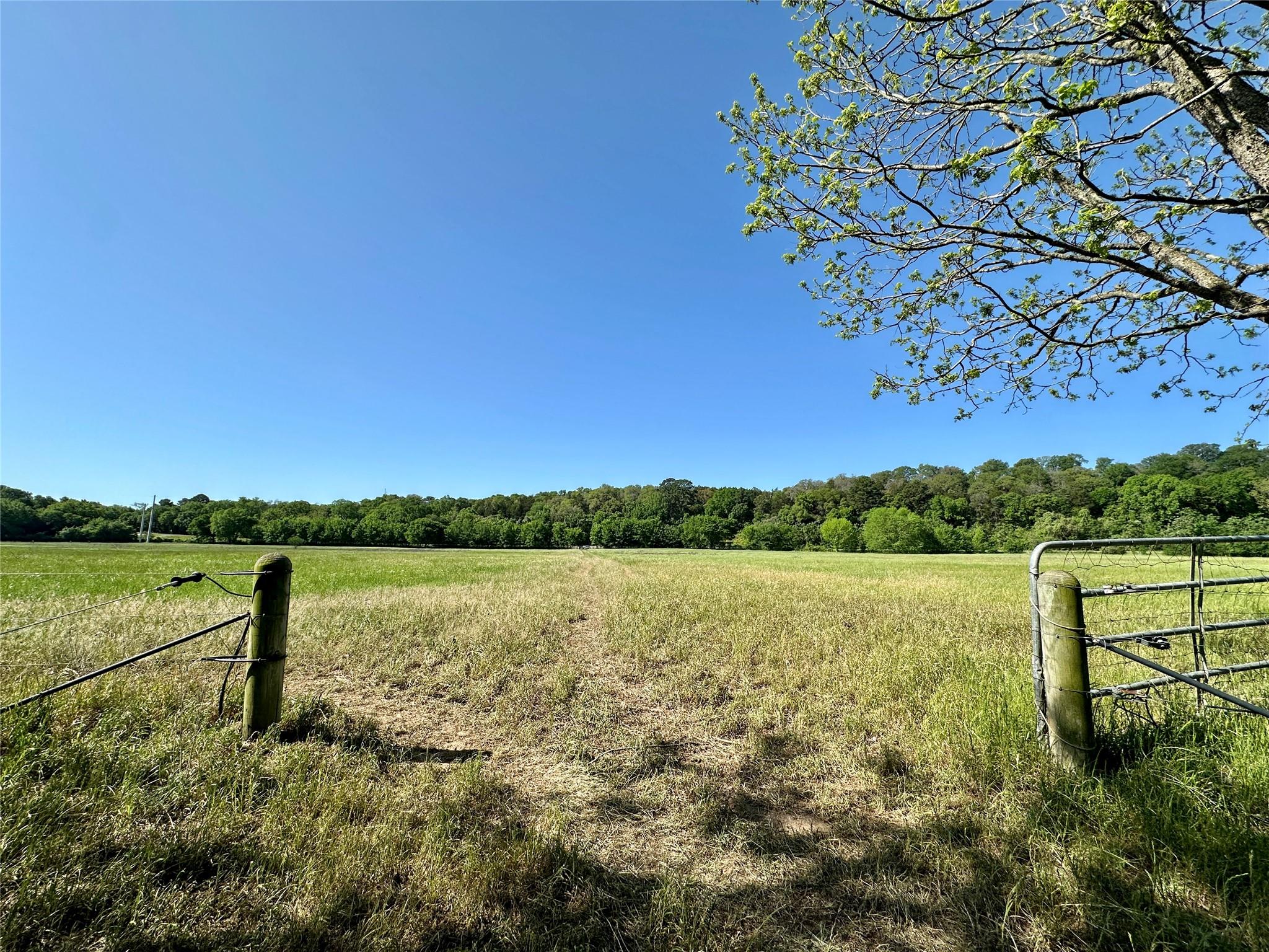 276 Fm 2571, Smithville, TX 78957