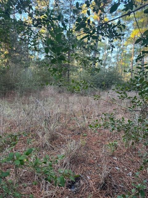 107 Lake Point Way, Bastrop, TX 78602