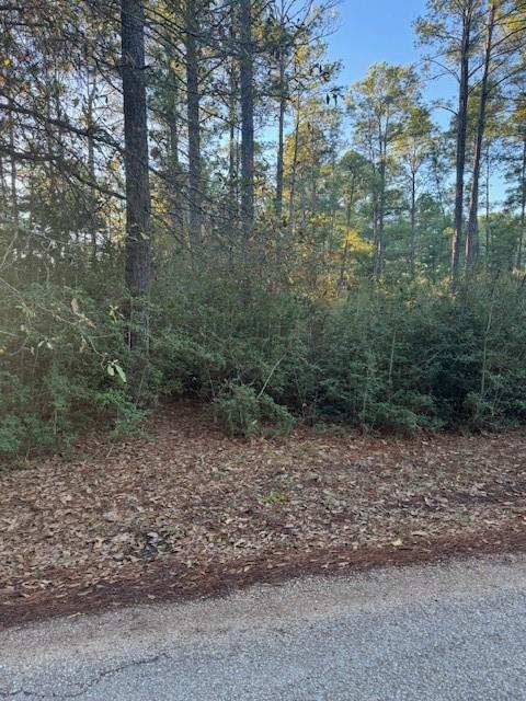 107 Lake Point Way, Bastrop, TX 78602