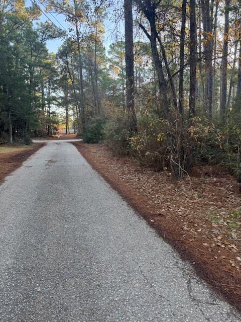 107 Lake Point Way, Bastrop, TX 78602