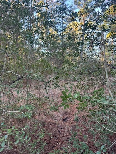 107 Lake Point Way, Bastrop, TX 78602