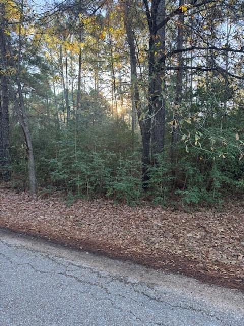 107 Lake Point Way, Bastrop, TX 78602