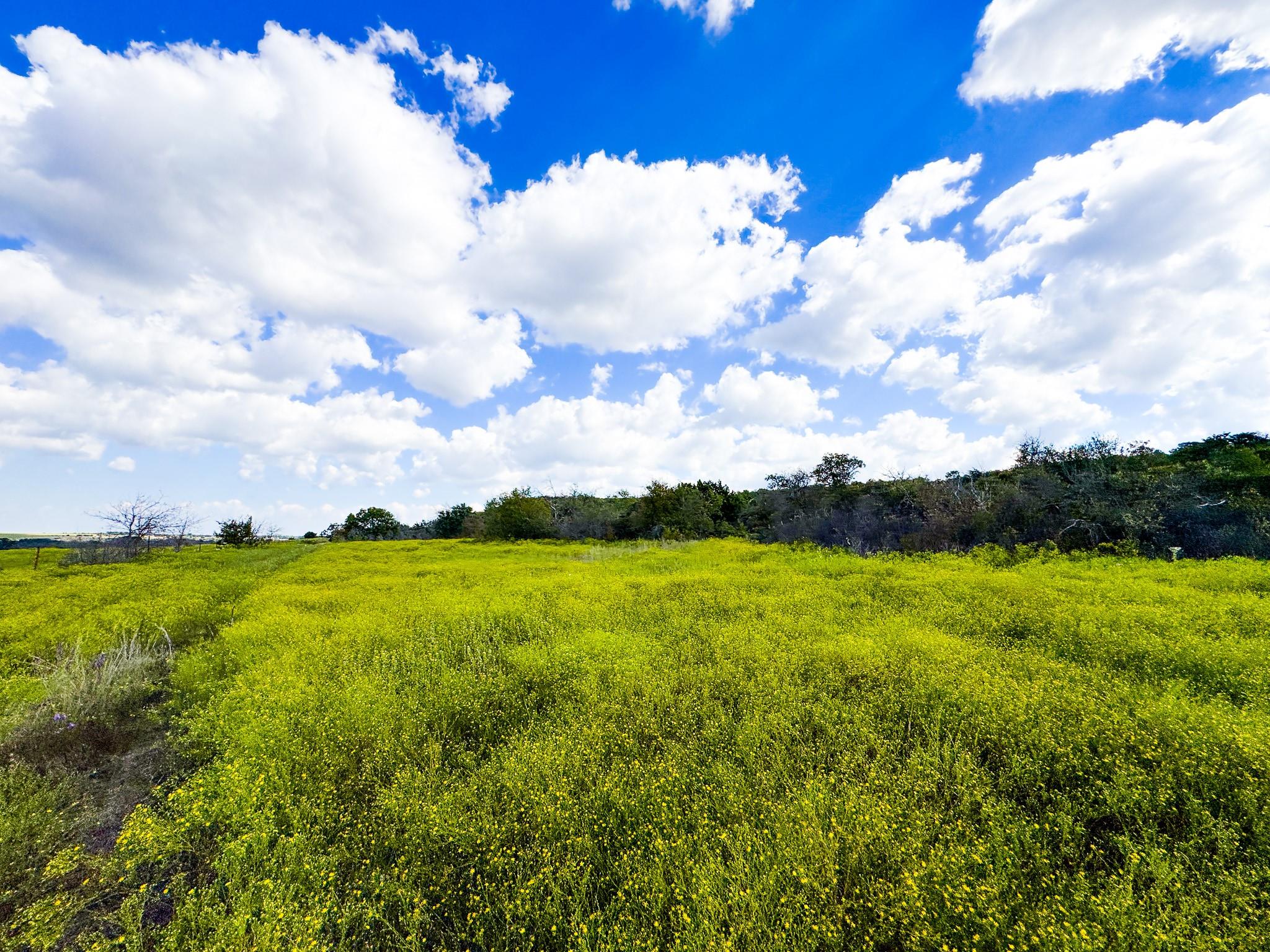 Lot 41 Copper Stone Mountain, Hamilton, TX 76525