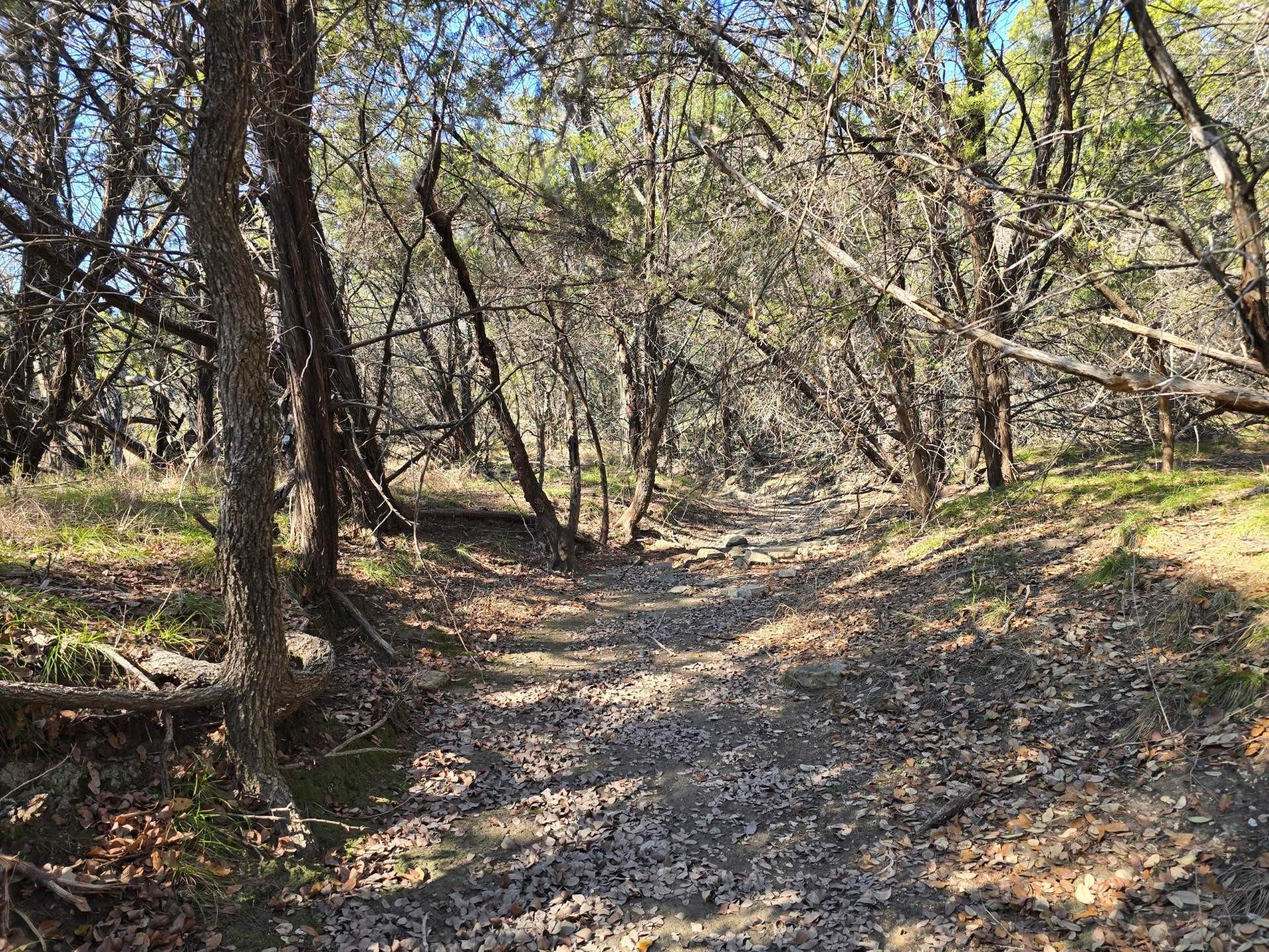 TBD County Road 3831, Evant, TX 76525