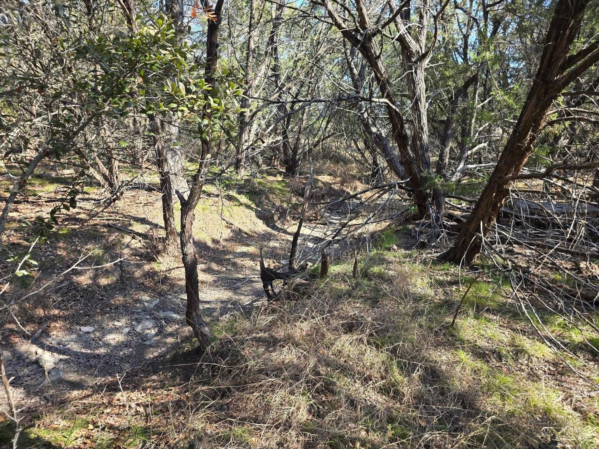 TBD County Road 3831, Evant, TX 76525