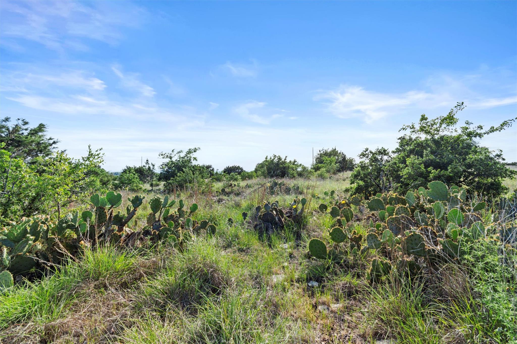 TBD Indian Sky Ct, Bertram, TX 78605