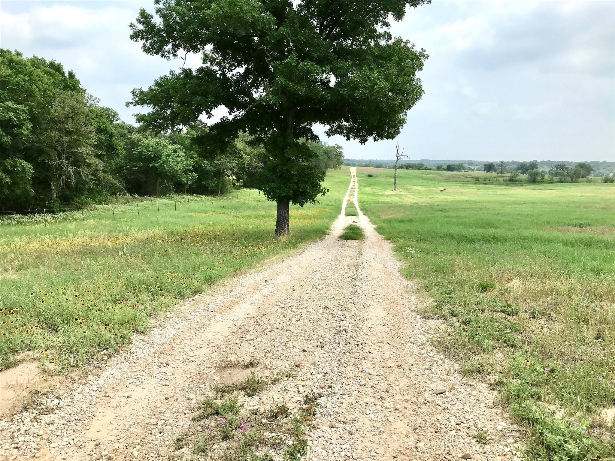 1672 Tract 4 Sayers Rd, Bastrop, TX 78602