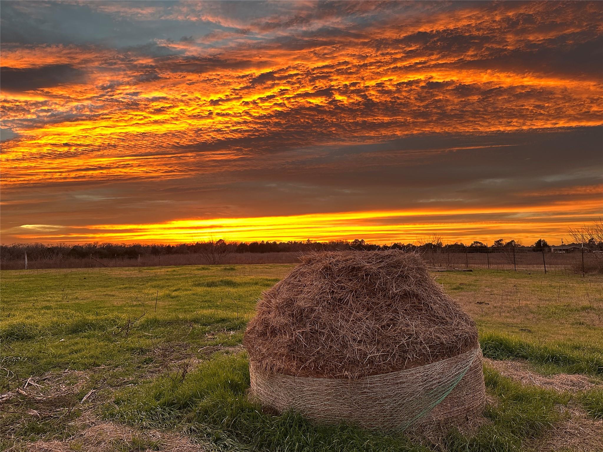 2200 Highway 21 E, Paige, TX 78659