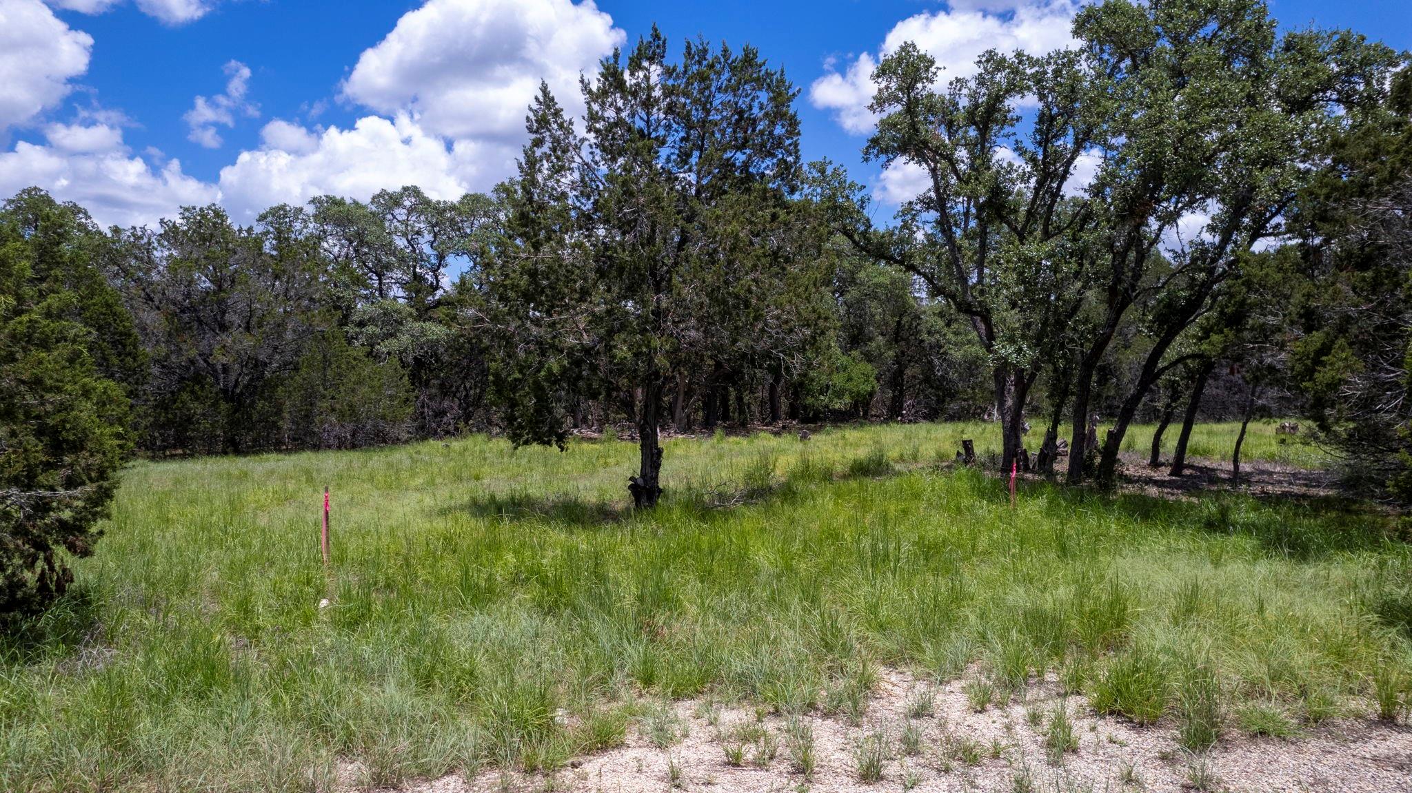 36 Moonlight Ln, Wimberley, TX 78676