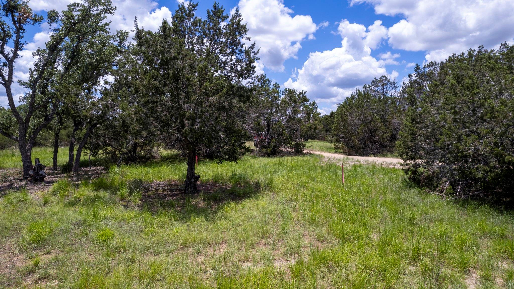 36 Moonlight Ln, Wimberley, TX 78676