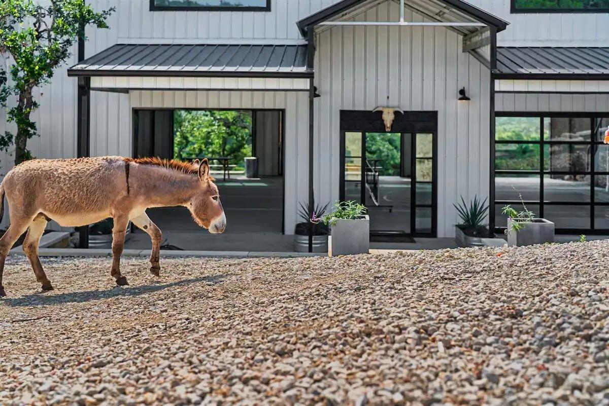 12701 Trails End Rd, Leander, TX 78641