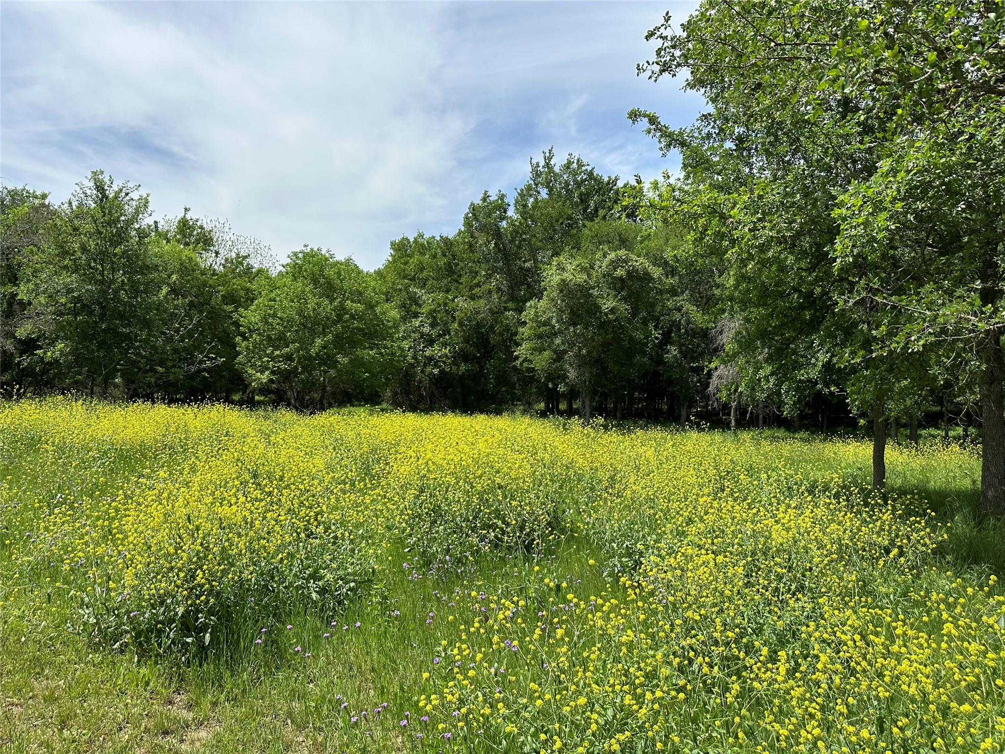 132 Quiet Oak Cv, Liberty Hill, TX 78642